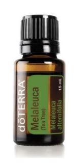 DoTerra TEA TREE esenciálny olej (Melaleuca - Čajovník) 15 ml